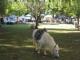 Double Bay - Organic Food Markets Double Bay - Organic Food Markets