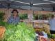 Gladesville - Organic Food Markets