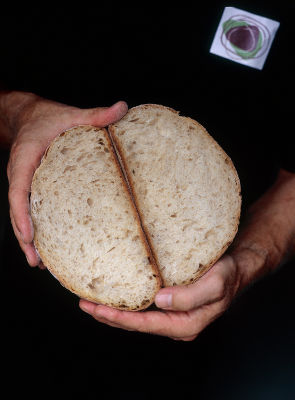 Brasserie Bread