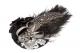 Frou Frou Designs