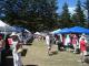 Palm Beach Market Palm Beach Market