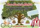 Avoca Beachside Markets