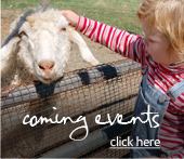 coming-events-button